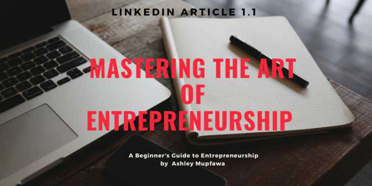 What is Entrepreneurship & its Types? (Mastering the art of entrepreneurship)